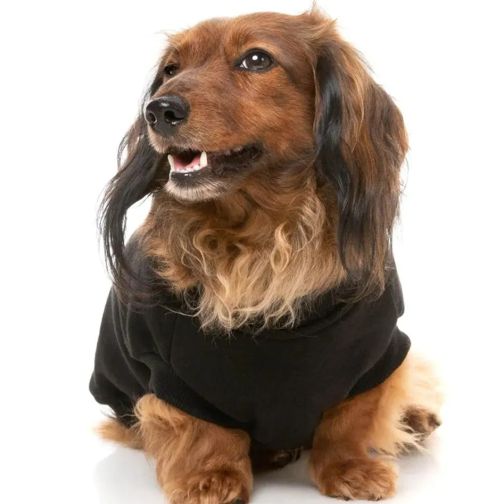 FuzzYard Allday 24 Sweater - Black