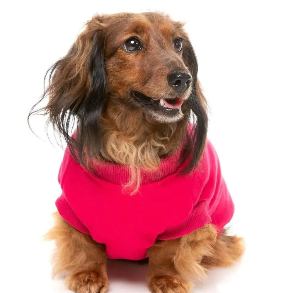 FuzzYard Allday 24 Sweater - Magenta