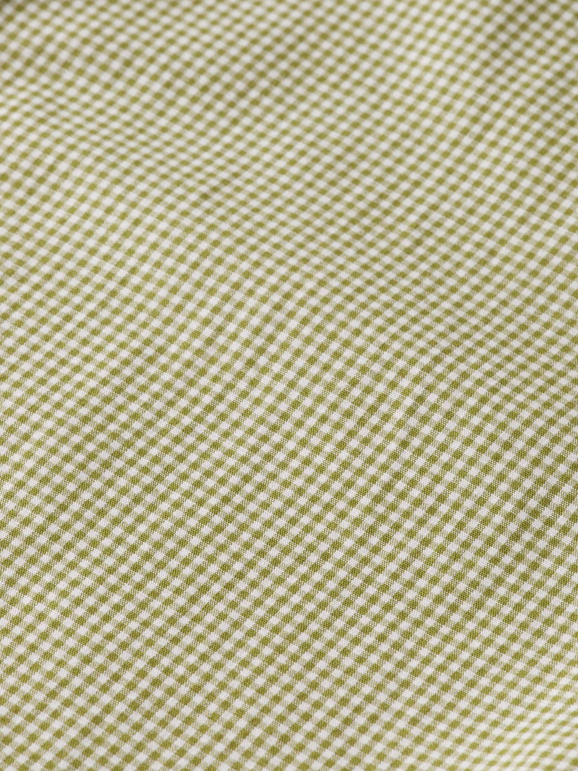Slim Fit Seasonal Essentials Green Mini Check Shirt